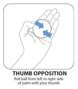 Thumb opposition