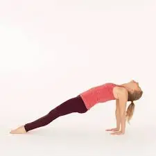 Upward Plank Exercise