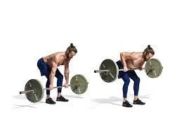 barbell bent over row