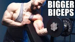 best mass exercises for biceps