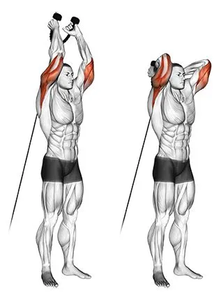 Rope-triceps-extension