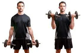 Standing bicep curls with a dumbbell