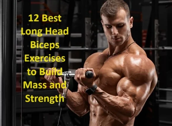 12 Best Long Head Biceps Exercises to Build Mass and Strength