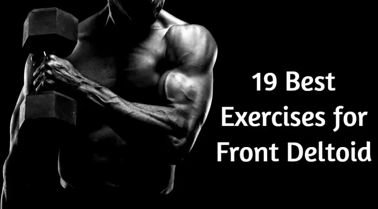 19 Best Exercises for Front Deltoid