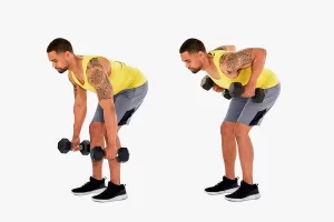 Dumbbell Bent-Over-Row