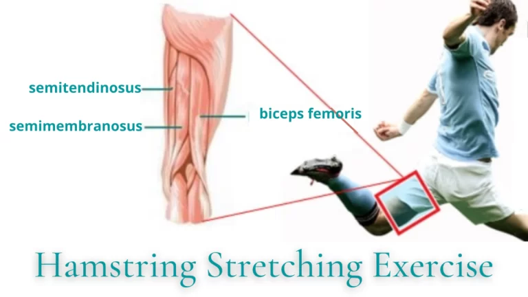 9 Best Stretching Exercises for Hamstring Injury