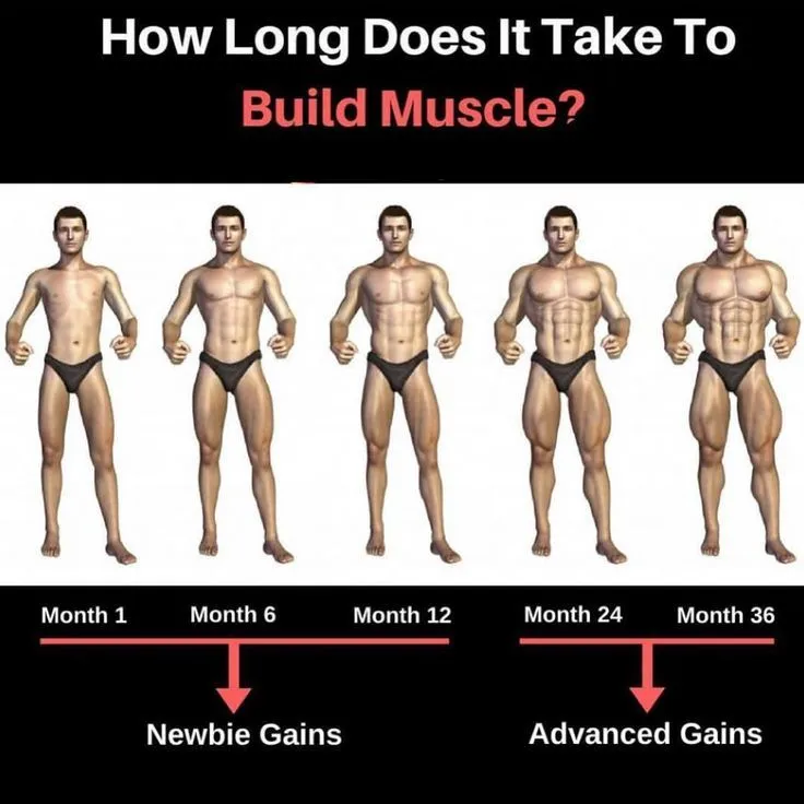 How Long Does It Take to Build Muscles? Best way to Build Muscle
