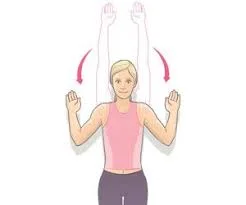 Wall slides with scapula