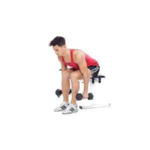 Seated Bent-Over Row