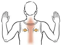 Squeeze of the shoulder blades