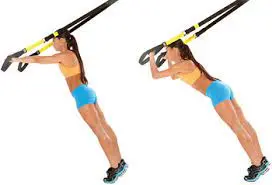 Triceps Extension