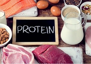 Best Protein To Build Muscle