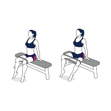 Banded Seated Hip Abduction