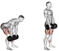 Romanian Deadlifts with Elevated Dumbbells