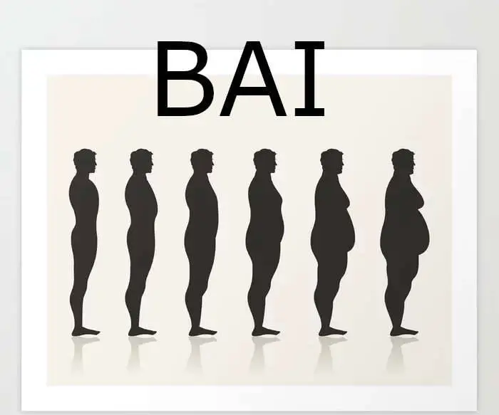 Body Adiposity Index (BAI)