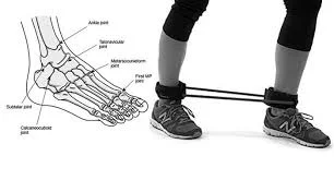 Band Ankle Strengthening