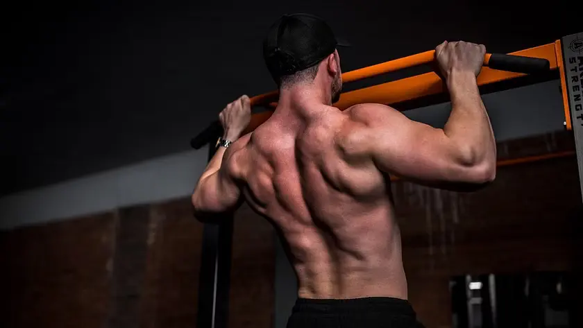 Top 10 Variations of Lat Pulldowns to Work Your Back Muscles – DMoose