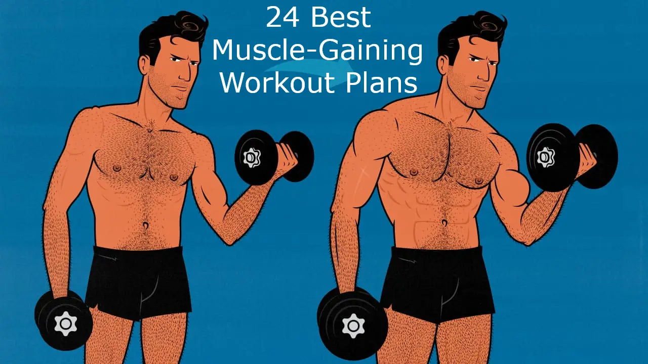 24 Best Muscle-Gaining Workout Plans
