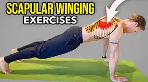 Exercises for Winging of Scapula