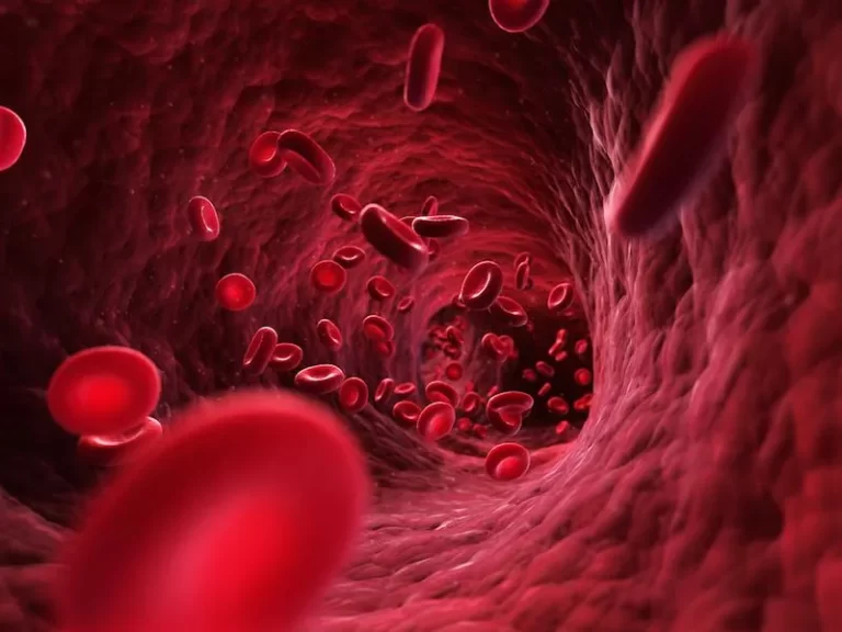 How many Liters of Blood are in the Human Body?