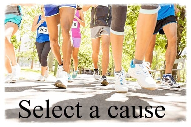 Select a cause