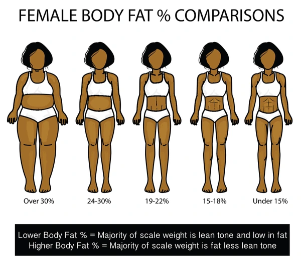 Percentage of Women's Body Fat - A Guide to Individuality