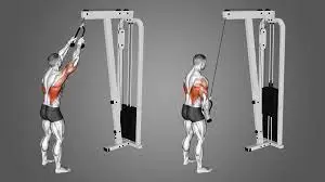 Standing cable-rope-pull-over