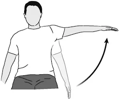isometric rotate the shoulder
