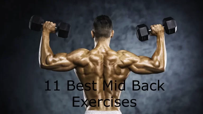11 Best Mid-Back Exercises