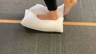 single leg pillow-balance