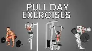 pull day exercises