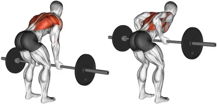 9 Best Exercises to Gain Wider Back