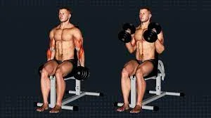 A superset of seated dumbbell hammer curls into a bench dip