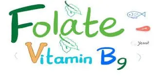 Folate Deficiency (Vitamin B9 Deficiency)