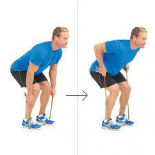 Bent Over Row With Bands