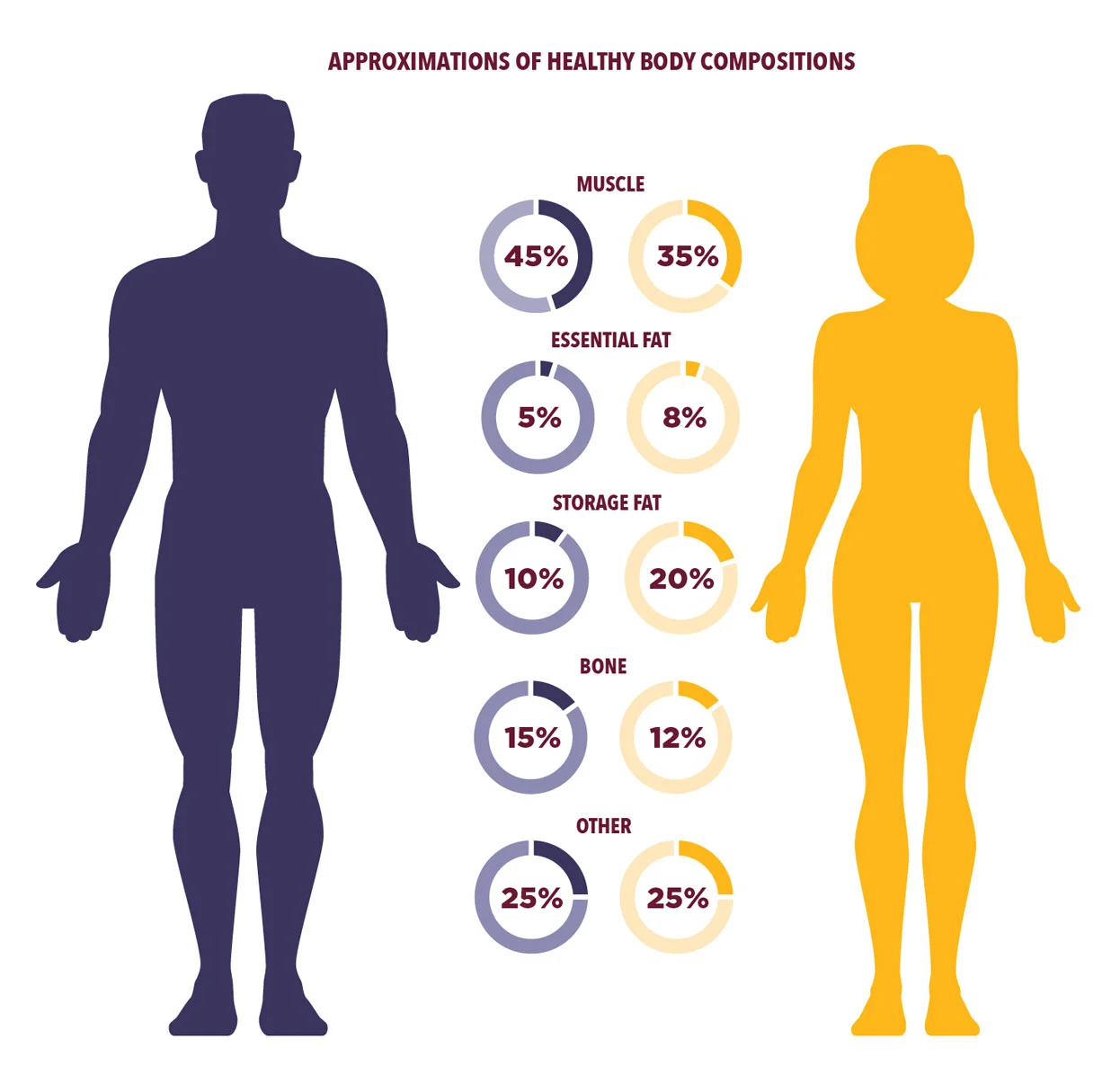 Body-fat-percentage