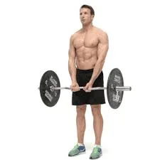 Bodyweight or Weighted Tricep Dips Superset into EZ Bar Curl