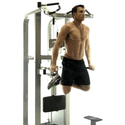 Bodyweight or Weighted Tricep Dips Superset into EZ Bar Curl