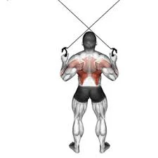 Cable Crossover Lat Pulldown