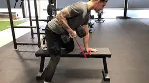 Dumbbell Rows With Bands