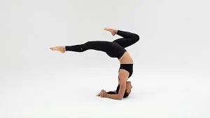 Forearm Hollow Back Pose