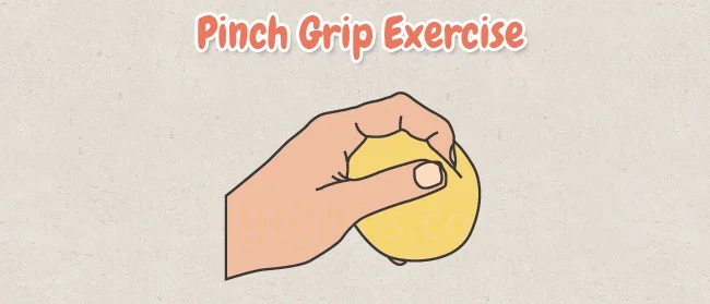 Grip and pinch strengtheners