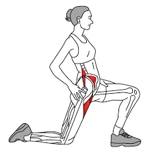 Kneeling quadriceps stretch