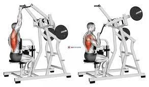 Plate Loaded Pulldown