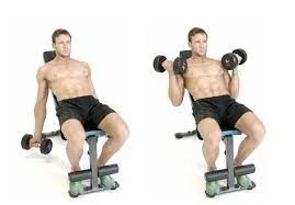 Duo Dumbbell Curl into Tricep Extension Position While Seated

