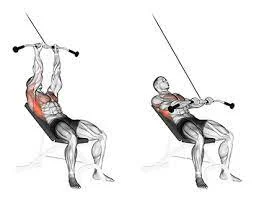 Seated Incline Lat Pushdown