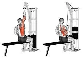 Single Arm Cable Crossover Lat Pulldown