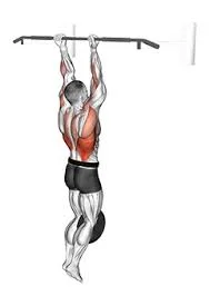 Weighted Chin Ups