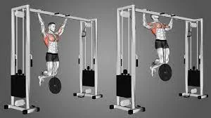 Weighted Pull Ups