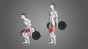 barbell-hack-squat-workout